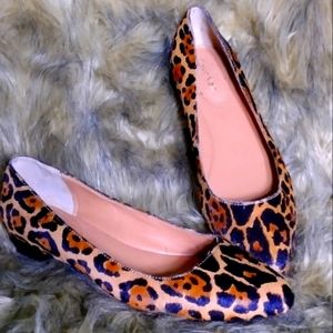 Calvin Klein 🐆 Print Flats Size 7.5